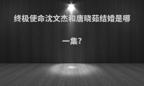 终极使命沈文杰和唐晓茹结婚是哪一集?