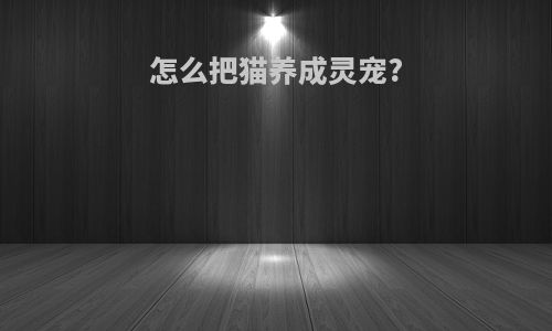怎么把猫养成灵宠?