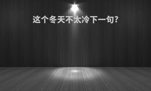 这个冬天不太冷下一句?