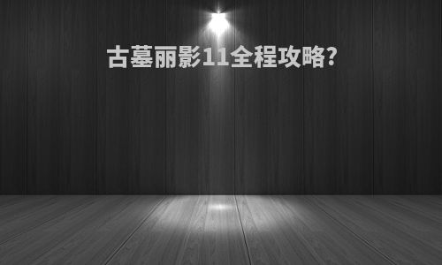 古墓丽影11全程攻略?