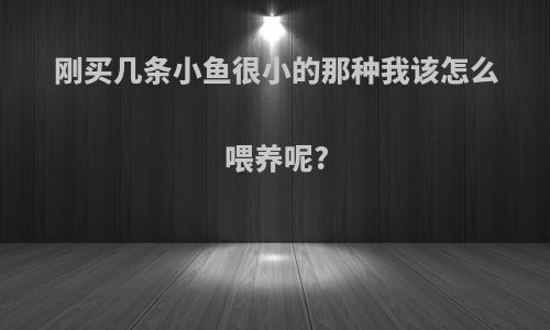 刚买几条小鱼很小的那种我该怎么喂养呢?