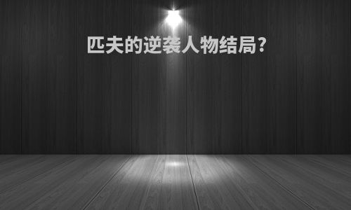 匹夫的逆袭人物结局?