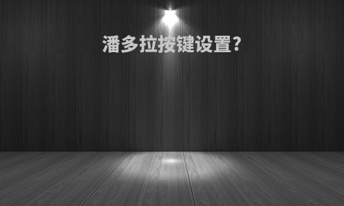潘多拉按键设置?