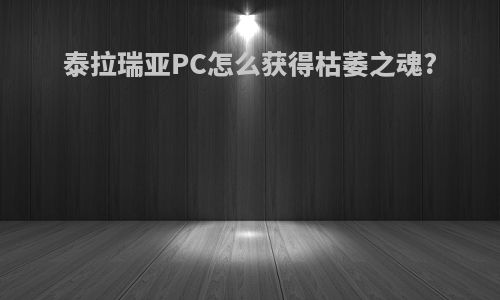 泰拉瑞亚PC怎么获得枯萎之魂?