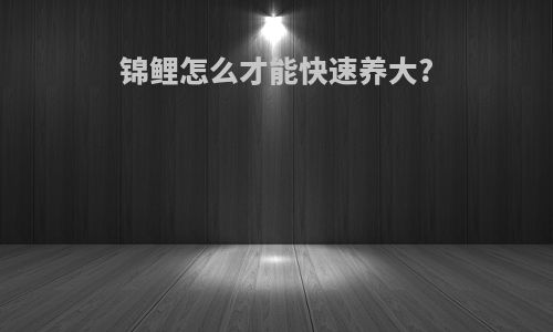锦鲤怎么才能快速养大?