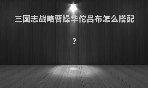 三国志战略曹操华佗吕布怎么搭配?