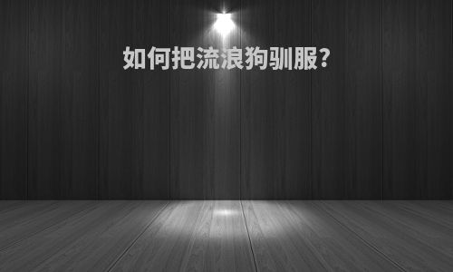 如何把流浪狗驯服?