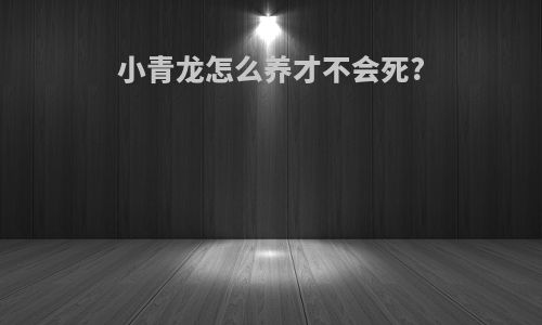 小青龙怎么养才不会死?