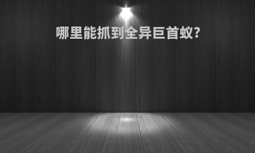 哪里能抓到全异巨首蚁?