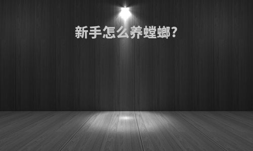 新手怎么养螳螂?