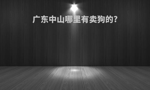 广东中山哪里有卖狗的?