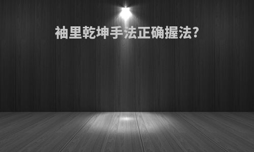 袖里乾坤手法正确握法?
