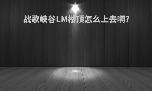 战歌峡谷LM楼顶怎么上去啊?