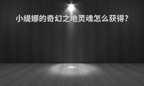 小缇娜的奇幻之地灵魂怎么获得?