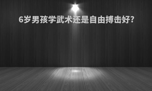 6岁男孩学武术还是自由搏击好?