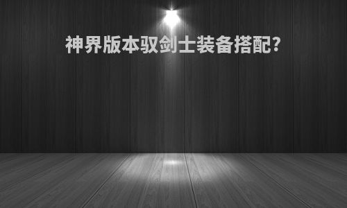 神界版本驭剑士装备搭配?