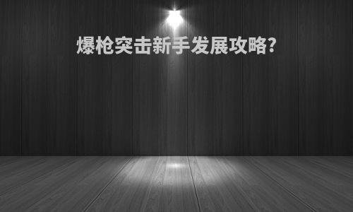 爆枪突击新手发展攻略?