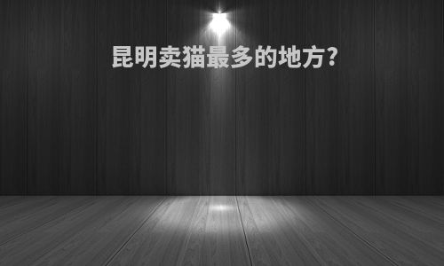 昆明卖猫最多的地方?
