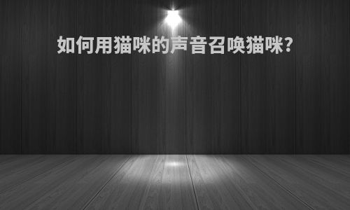 如何用猫咪的声音召唤猫咪?