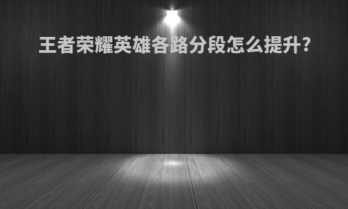 王者荣耀英雄各路分段怎么提升?