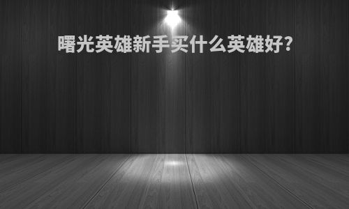 曙光英雄新手买什么英雄好?