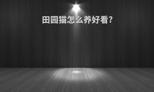 田园猫怎么养好看?