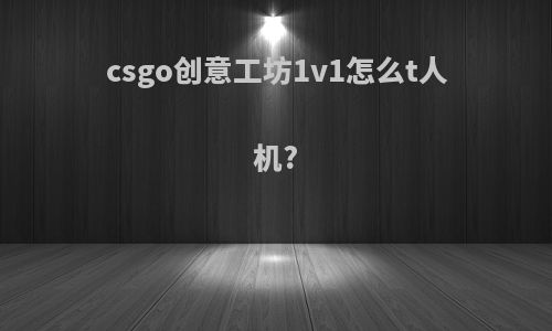 csgo创意工坊1v1怎么t人机?
