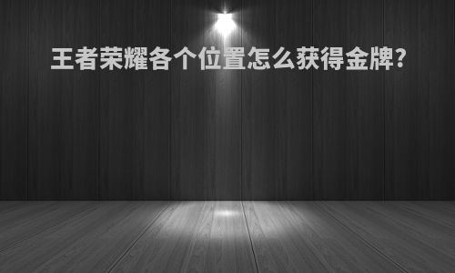 王者荣耀各个位置怎么获得金牌?