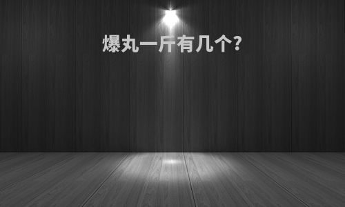 爆丸一斤有几个?