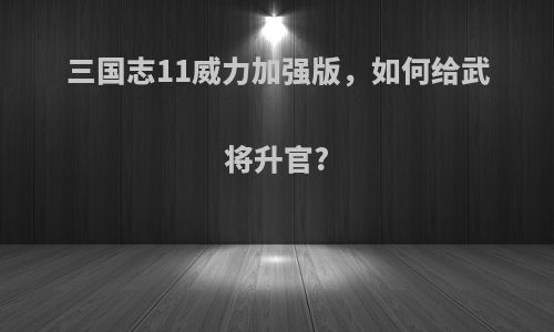 三国志11威力加强版，如何给武将升官?