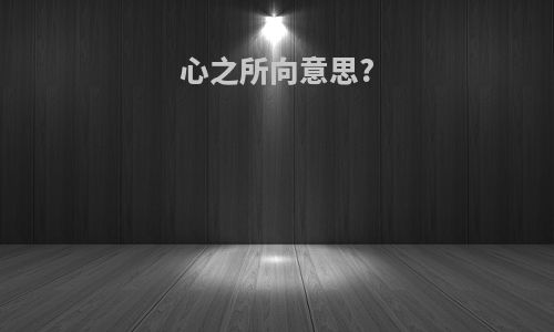 心之所向意思?