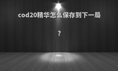 cod20精华怎么保存到下一局?