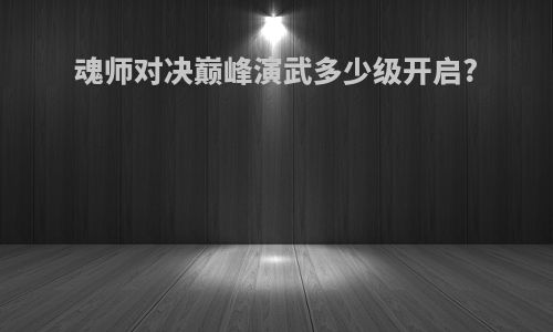 魂师对决巅峰演武多少级开启?
