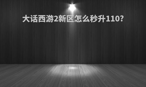 大话西游2新区怎么秒升110?