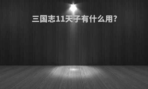 三国志11天子有什么用?