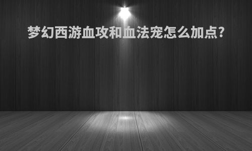 梦幻西游血攻和血法宠怎么加点?