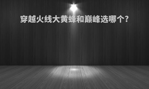穿越火线大黄蜂和巅峰选哪个?