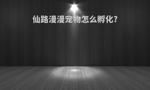 仙路漫漫宠物怎么孵化?