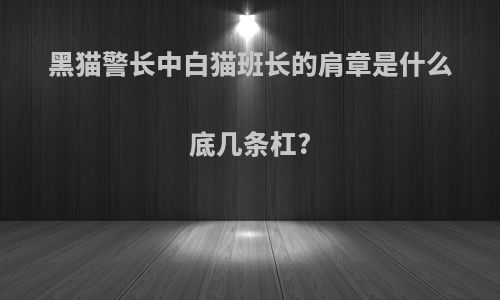黑猫警长中白猫班长的肩章是什么底几条杠?