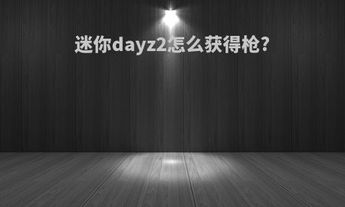迷你dayz2怎么获得枪?
