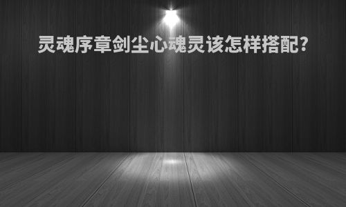 灵魂序章剑尘心魂灵该怎样搭配?