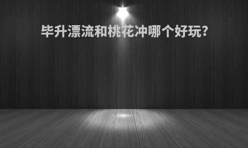毕升漂流和桃花冲哪个好玩?