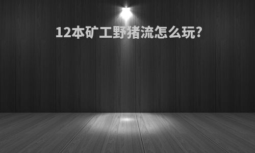 12本矿工野猪流怎么玩?