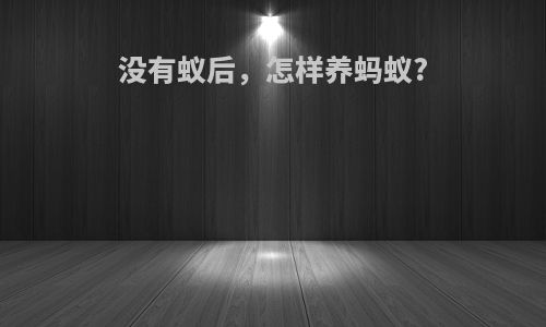 没有蚁后，怎样养蚂蚁?