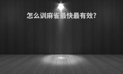 怎么训麻雀最快最有效?