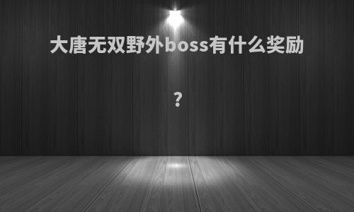 大唐无双野外boss有什么奖励?