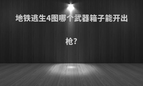 地铁逃生4图哪个武器箱子能开出枪?