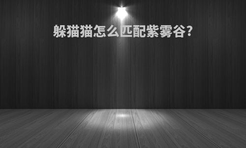 躲猫猫怎么匹配紫雾谷?