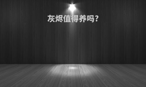 灰烬值得养吗?