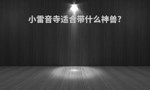 小雷音寺适合带什么神兽?